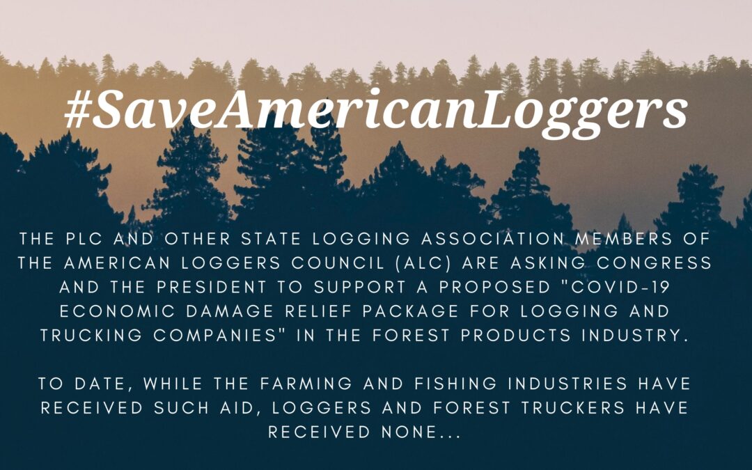 Stars of American Loggers and Swamp Loggers call for pandemic relief for logging industry