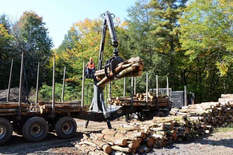 Oct. 12, 2023, is “National Loggers Day”