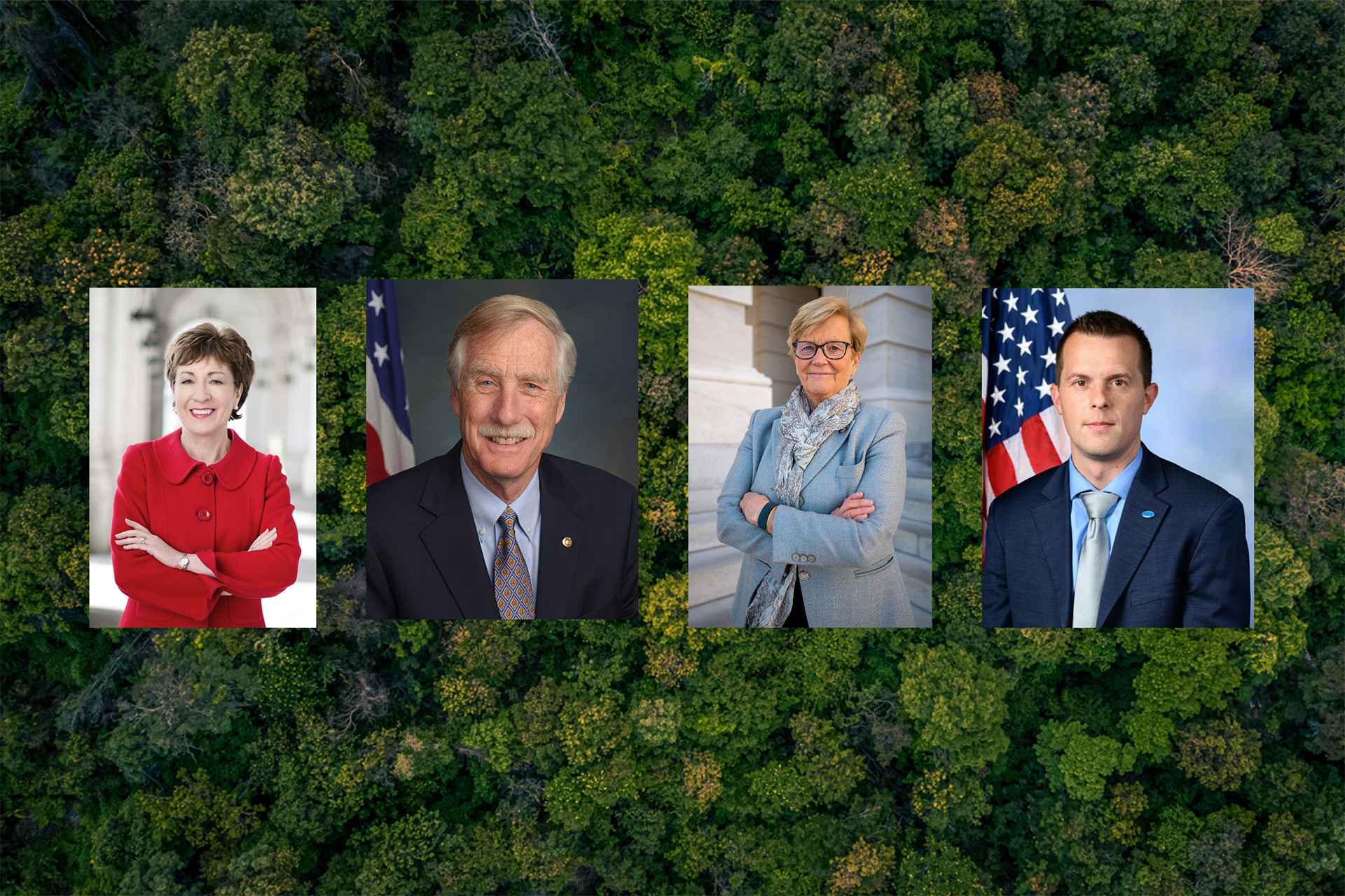 aerial photograph of a forest with individual photos of maine congressional delegation. Susan Collins, Angus King, Chellie Pingree, and Jared Golden.