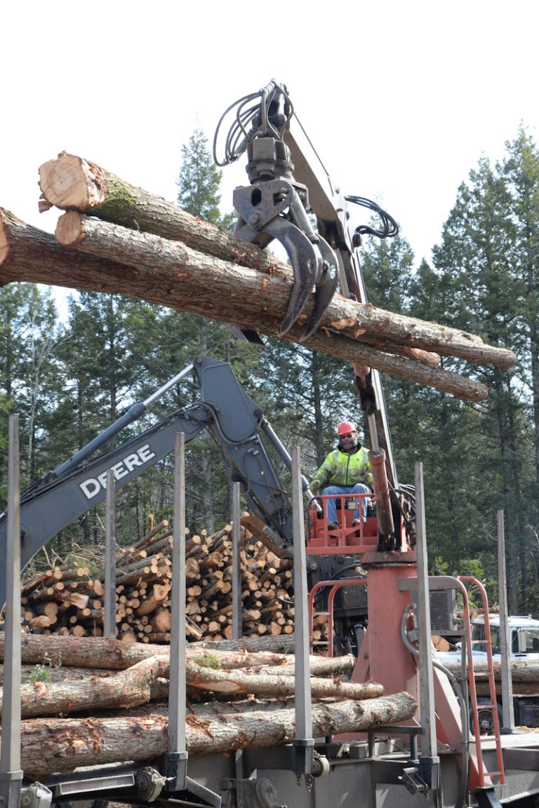 photo of a crane arm on a logging truck loading the truck with logs