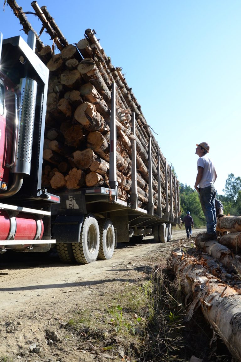 photo of a man looking up at a logging truck full of logs