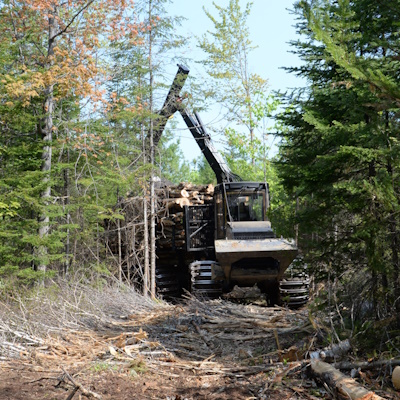 photo of logging equipment in a forest