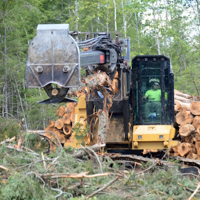 photo of logging equipment working in a forest