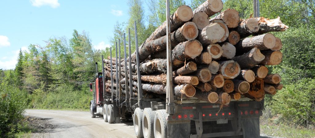 photo of a logging truck full of logs driving down a logging road through a forest