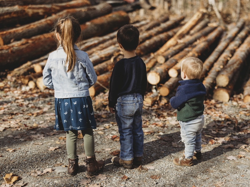 photo of three small children with their backs turned looking at a pile of stacked logs