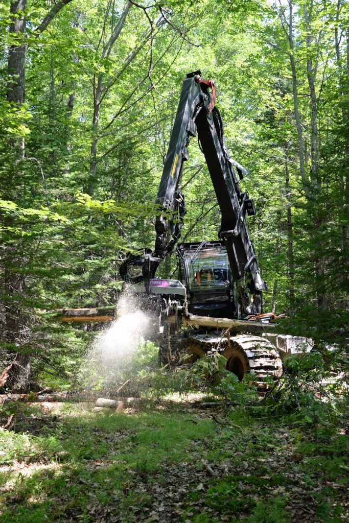 photo of heavy logging equipment working in a forest