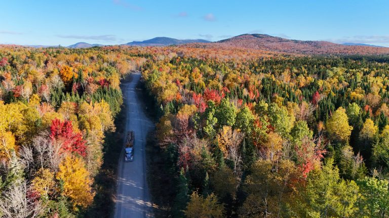 October 12 is National Logger’s Day