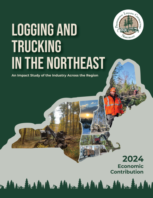 Cover of the 2024 economic study