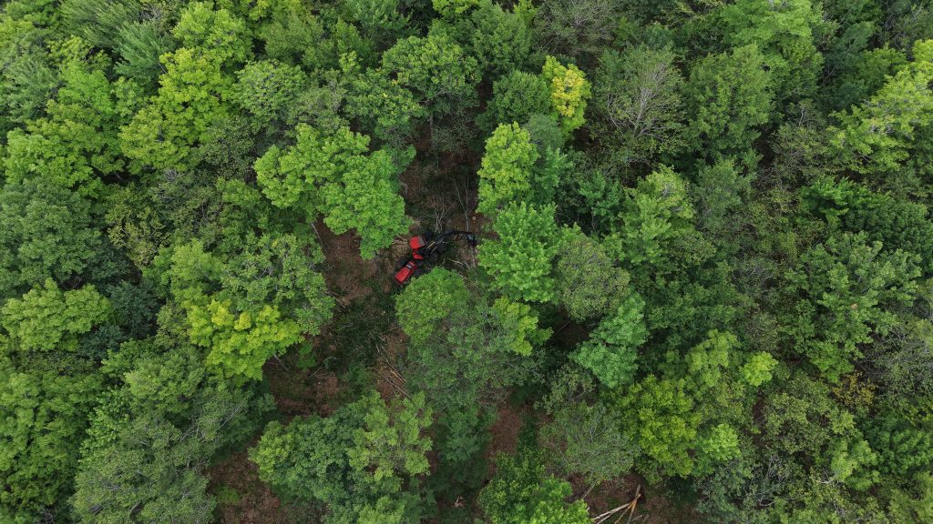 Aerial shot of a tree processer 