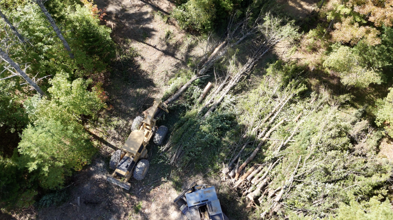 Public Lands Belong to Everyone — Including Loggers 