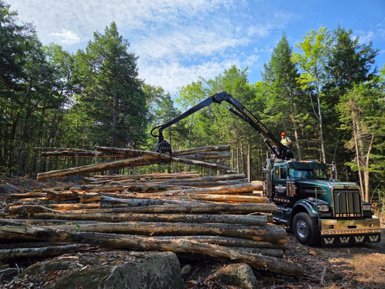 Log trucker moving wood into truck