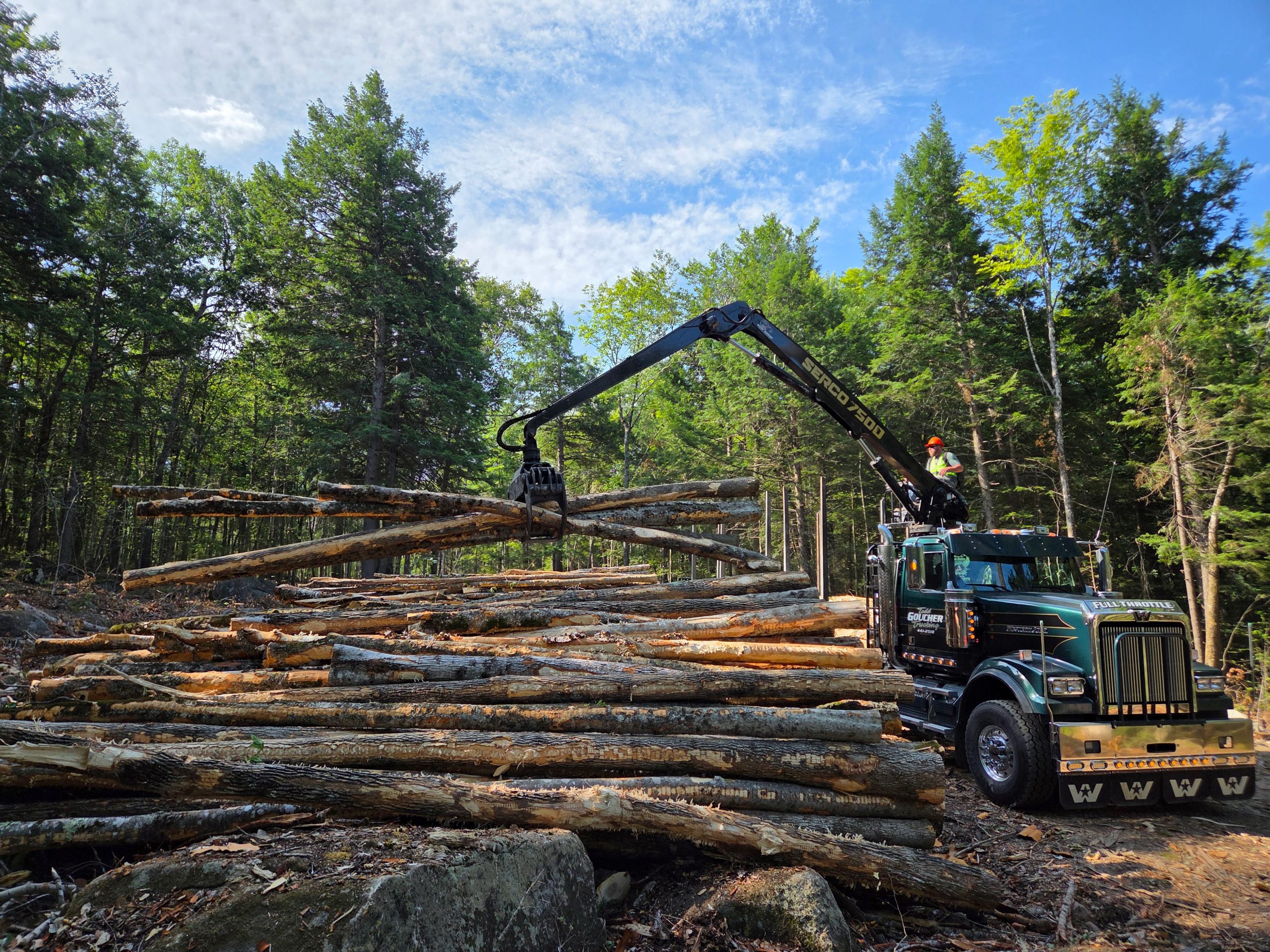 Log trucker moving wood into truck