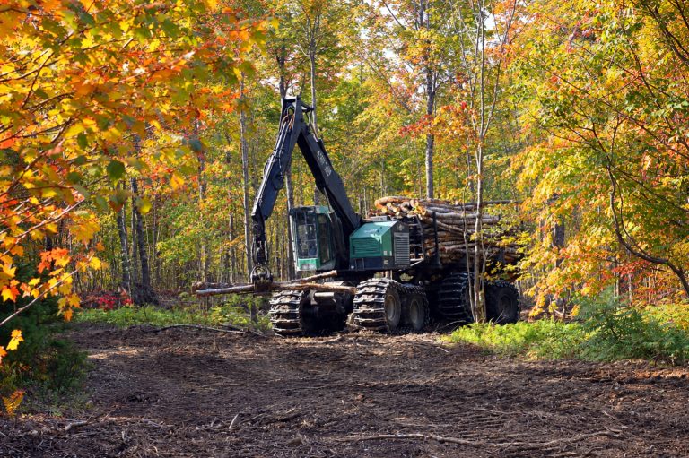 October 12 is National Logger’s Day
